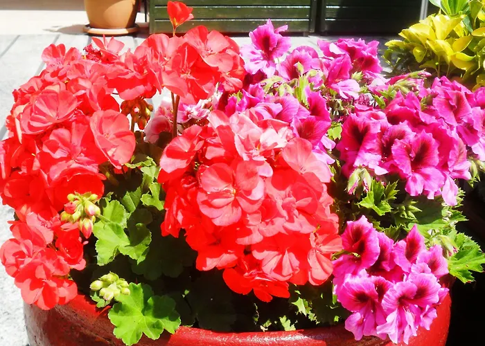 Liman Мармарис